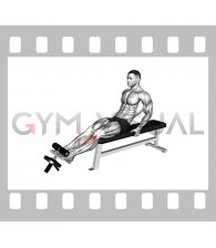 Weighted Plate Tibialis Anterior Curl (male)