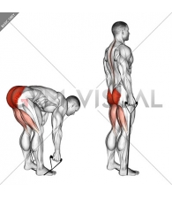 Band stiff leg deadlift