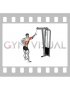 Cable One Arm Pulldown