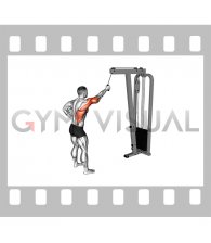 Cable One Arm Pulldown
