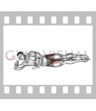 Bodyweight Side Lying Inner Thigh-up and Down (male)