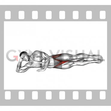 Bodyweight Side Lying Inner Thigh-up and Down (male)