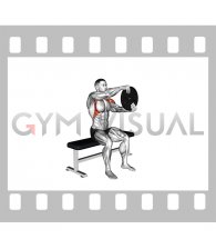 Weighted Seated Plate Driver (male)