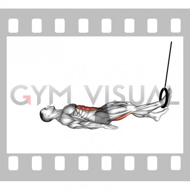 Ring Hip Lift Single Leg Curl (male)