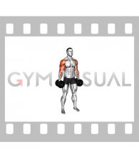 Dumbbell Standing Hip Hugger (male)