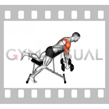 Dumbbell Incline Reverse Raise with Chest Supported (skier) (male)