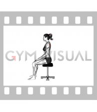 Sitting Scapula Adduction (VERSION 2) (female)