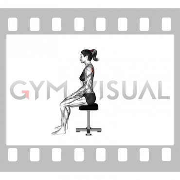 Sitting Scapula Adduction (VERSION 2) (female)