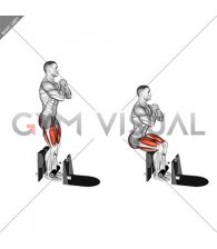 Bodyweight Supported Squat (male)