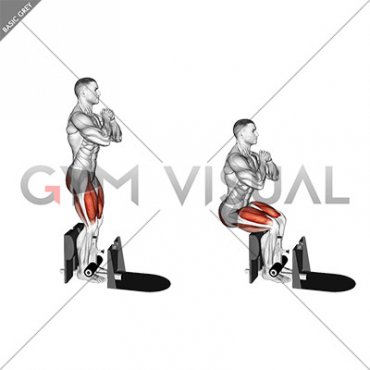 Bodyweight Supported Squat (male)