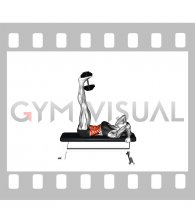 Weighted Dumbbell Lying Flat Hip Raise (female)