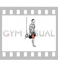 Kettlebell Single Leg Split Squat with the Ring