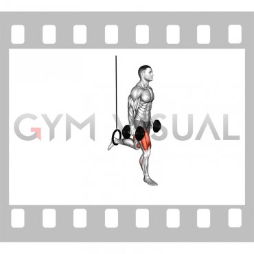 Dumbbell Single Leg Split Squat with the Ring