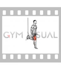 Band Single Leg Split Squat with the Ring
