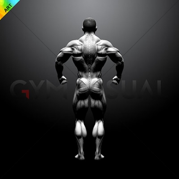 Premium Photo | Young bodybuilder flexing back pose-demhanvico.com.vn
