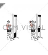 Cable High Pull with Rope Attachment (male)