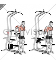 Assisted Standing Triceps Dip