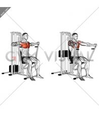 Lever Parallel Chest Press