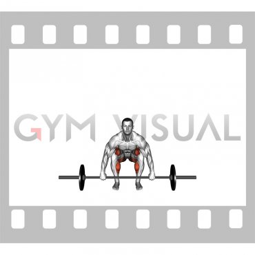 Barbell Deadlift (front POV) (male)