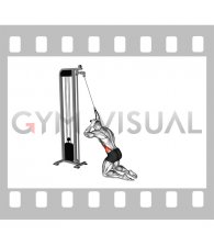 Cable Kneeling Side Crunch (male)