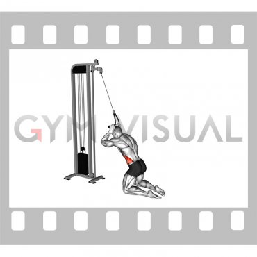 Cable Kneeling Side Crunch (male)