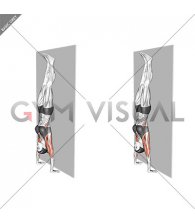Handstand Hold on Wall (female)