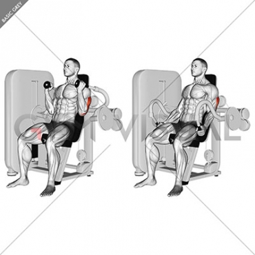 Lever Triceps Extension