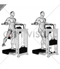 Lever Side Hip Adduction