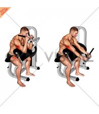 Lever Triceps Extension (VERSION 2)