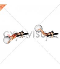 Resistance Band Reverse Hyper with Stability Ball on Flat Bench (female)