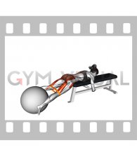 Resistance Band Reverse Hyper with Stability Ball on Flat Bench (female)