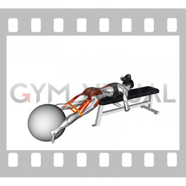 Resistance Band Reverse Hyper with Stability Ball on Flat Bench (female)