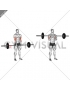 Barbell Standing Close Grip Curl