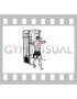 Cable Standing Single Delt Row (male)