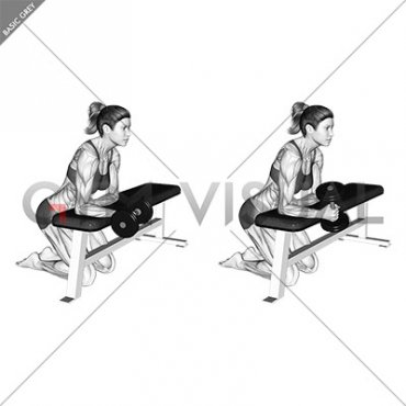 Dumbbell Over the Bench Supination