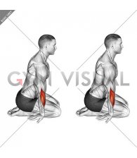 Seated Forearms Stretch (male)