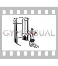 Cable Kneeling Shoulder External Rotation (male)