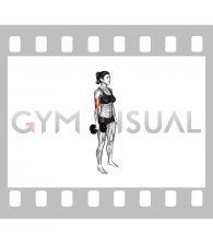 Dumbbell Standing Single Arm Biceps Curl (female)