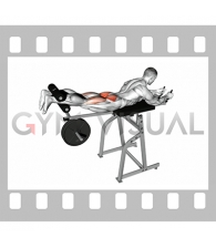 Lever Reverse Hyperextension (plate loaded)