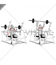 Barbell Seated Military Press (inside squat cage)