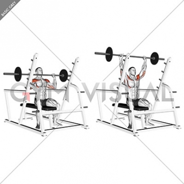 Barbell Seated Military Press (inside squat cage)