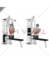 Cable Close-Grip Front Lat Pulldown