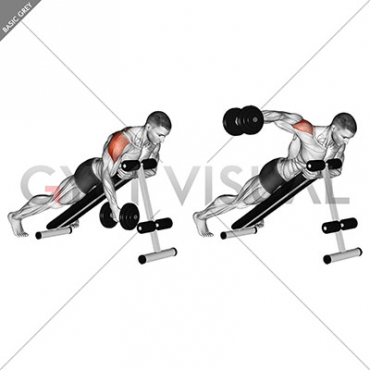 Dumbbell Lying One Arm Rear Lateral Raise