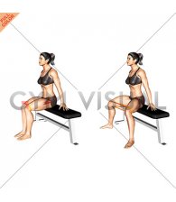 Resistance Band Seated Hip Abduction (VERSION 2) (female)