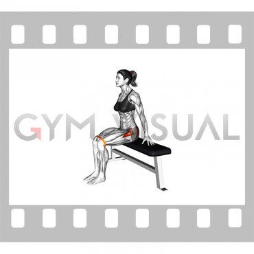 Resistance Band Seated Hip Abduction (VERSION 2) (female)