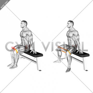 Resistance Band Seated Hip Abduction (VERSION 2)