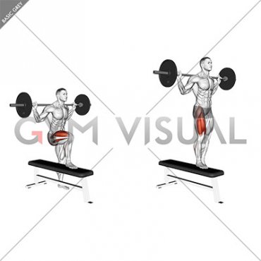 Barbell Bench Lateral Step-up (male)