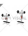 Barbell Bench Lateral Step-up (male)