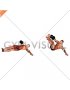 Dumbbell Lying Oblique V-up (male)