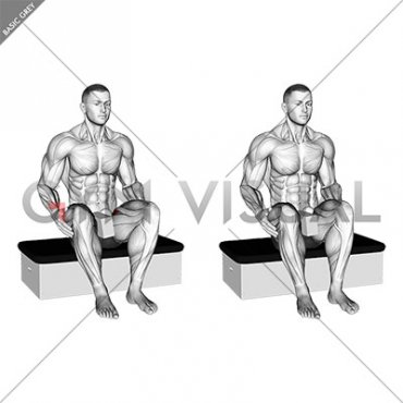 Roll Ball Seated Pectineus Activation (male)
